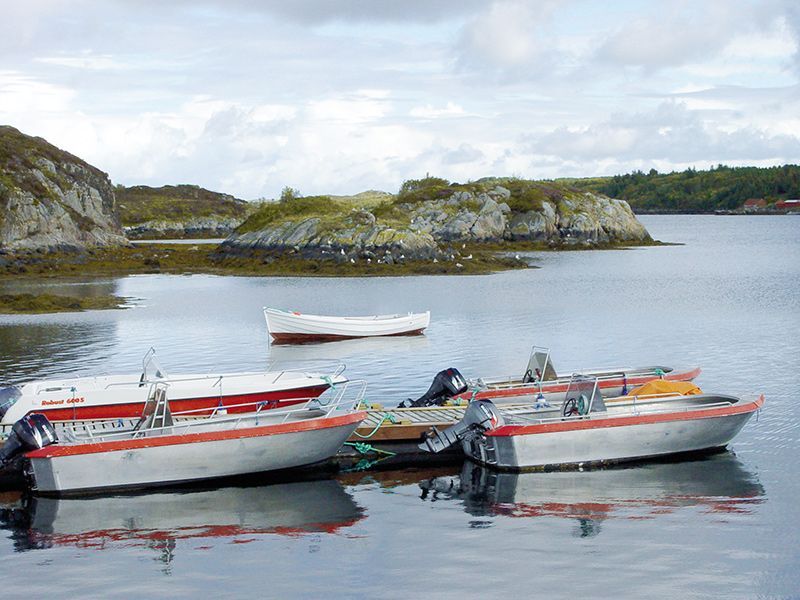 Angelreisen Norwegen 42091-42140 Stadsvik Brygger Boote 17 Fuß / 40 PS, Echolot, Kartenplotter