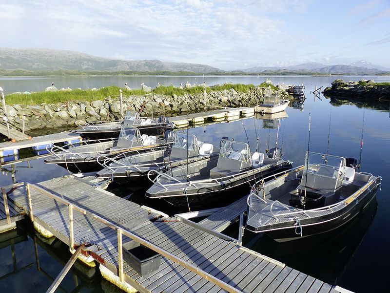 Angelreisen Norwegen Boote 42900-42990 Bjørnvika Natursenter Aluboot 23 Fuß / 80 PS, Echolot, Kartenplotter