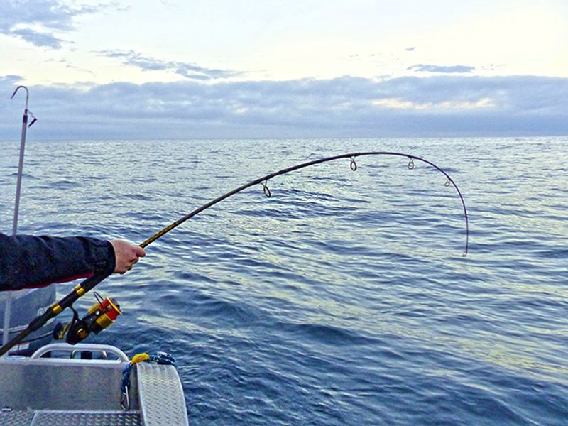 Norwegen | Hitra & Frøya | Angler