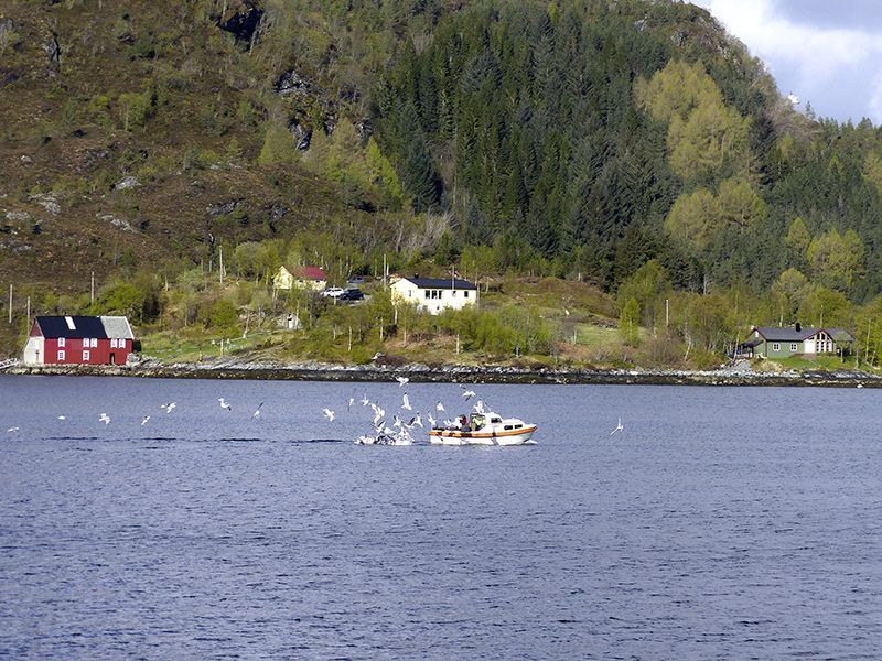 Norwegen | Nordfjord & Bremanger | Angelboot