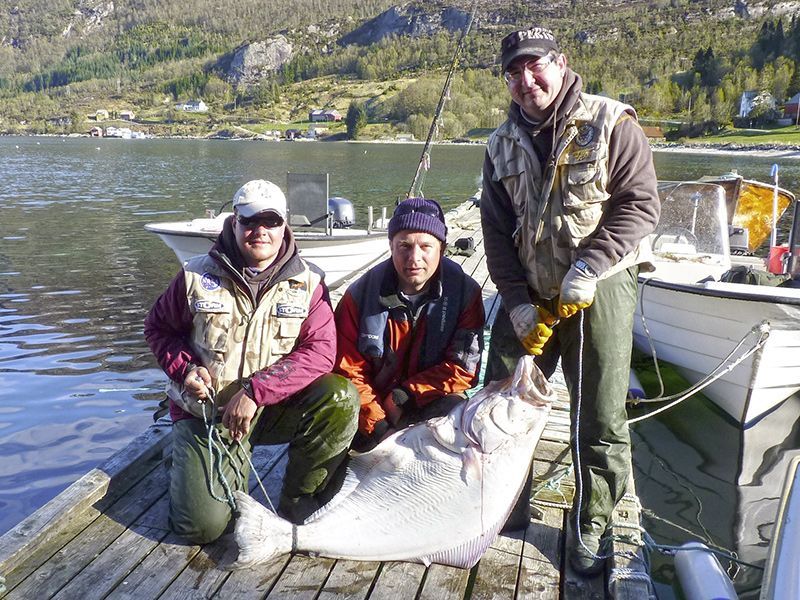 Norwegen | Rund um Bergen | Heilbutt