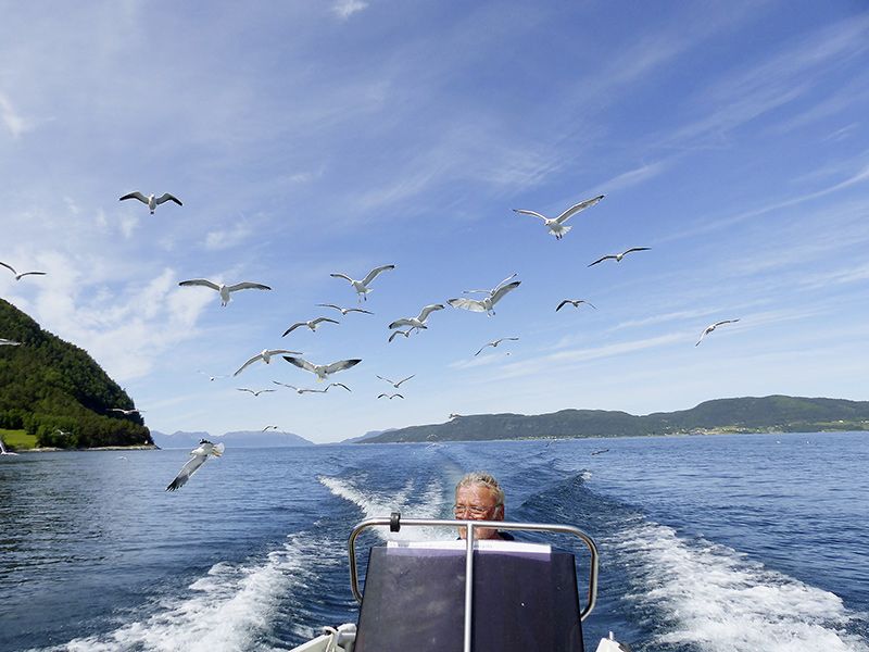 Norwegen | Rund um den Romsdalfjord | Ausfahrt