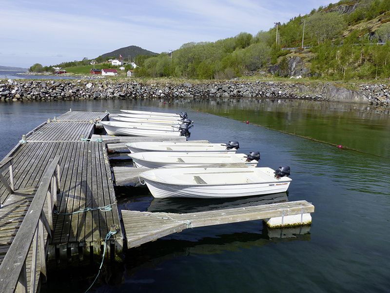 Angelreisen Norwegen 43011-43017 Boote Visthus Rorbuer Boot Hansvik 16,5 Fuß / 20 PS