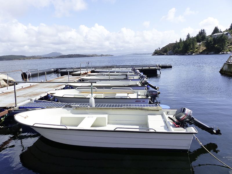 Angelreisen Norwegen 41297 Herdla Boote 16 Fuß / 9,9 PS