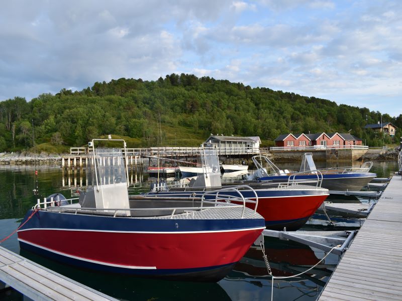 Angelreisen Norwegen 43411-43424 Sommersel Fishing Camp Aluboote 18,5 Fuß, 50 PS, 4-Takt mit Echolot und Kartenplotter