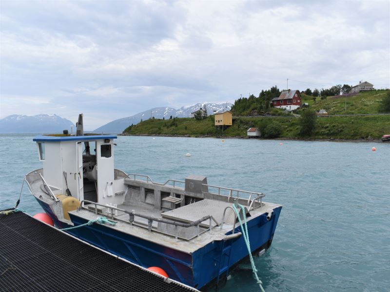Angelreisen Norwegen Boote 43561-43564 Koppangen Brygger Kabinendieselboot 23 Fuss, 85 PS, Echolot, Kartenplotter