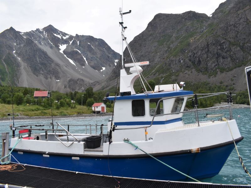 Angelreisen Norwegen Boote 43561-43564 Koppangen Brygger Kabinendieselboot 30 Fuss, 120 PS, Echolot, Kartenplotter