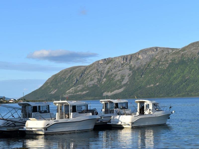 Angelreisen Norwegen Boote 43601-43604 Hansnes Havfiske Dieselboote Arvor 21,5 Fuss , 115 PS, Echolot und Kartenplotter