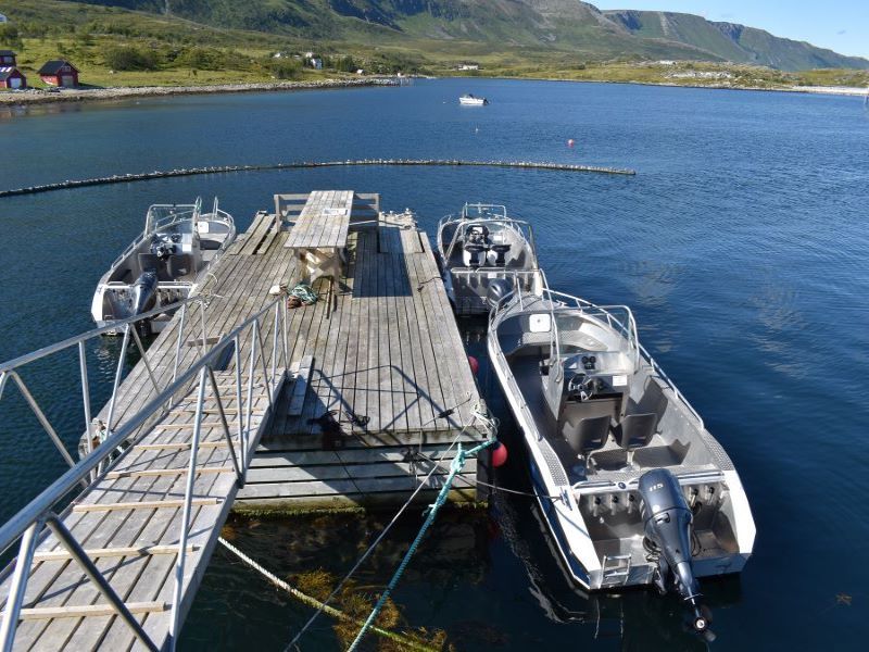 Angelreisen Norwegen Boote 43911-43912 Vannøya Havfiske Aluboot 20-22 Fuss ,115 PS, 4-Takt, Echolot, Kartenplotter