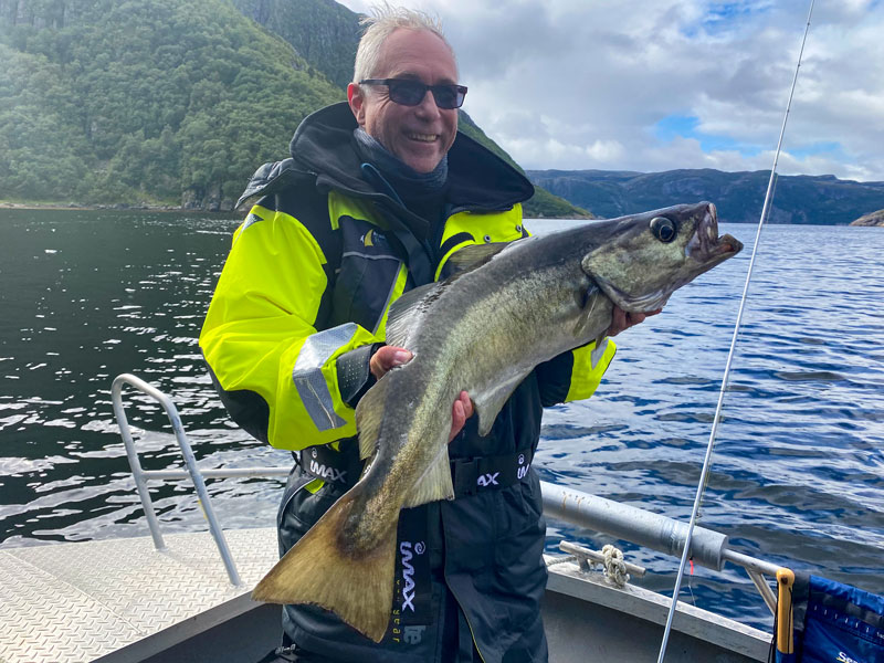 Norwegen | Rund um Rørvik | Pollack