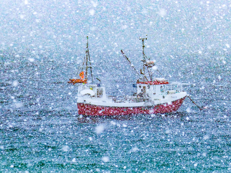 Norwegen | Troms og Finnmark | Fischkutter im Schnee