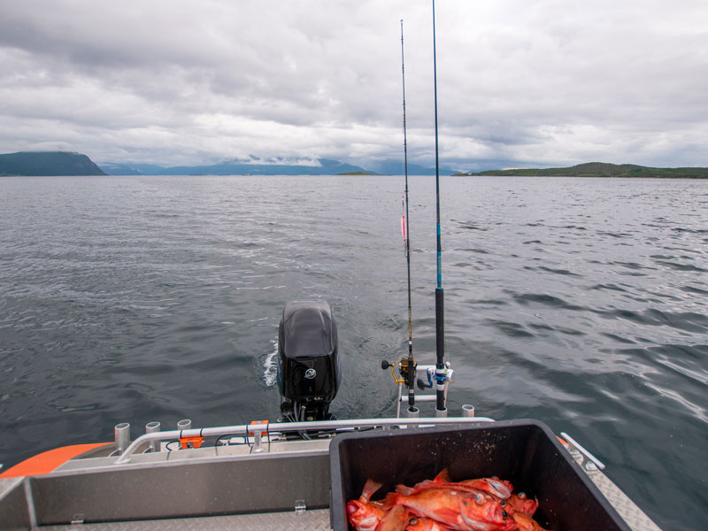 Norwegen | Troms og Finnmark | Rückkehr