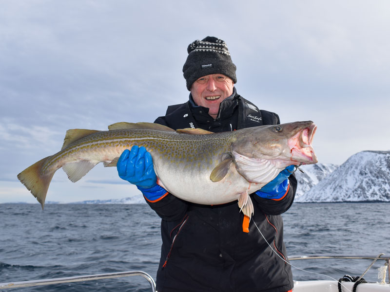 Norwegen | Troms og Finnmark | Skrei