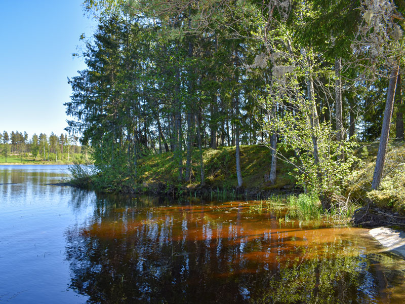 Schweden | Småland | Ufer