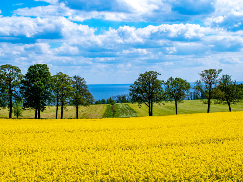 Schweden | farbenfrohe Landschaft