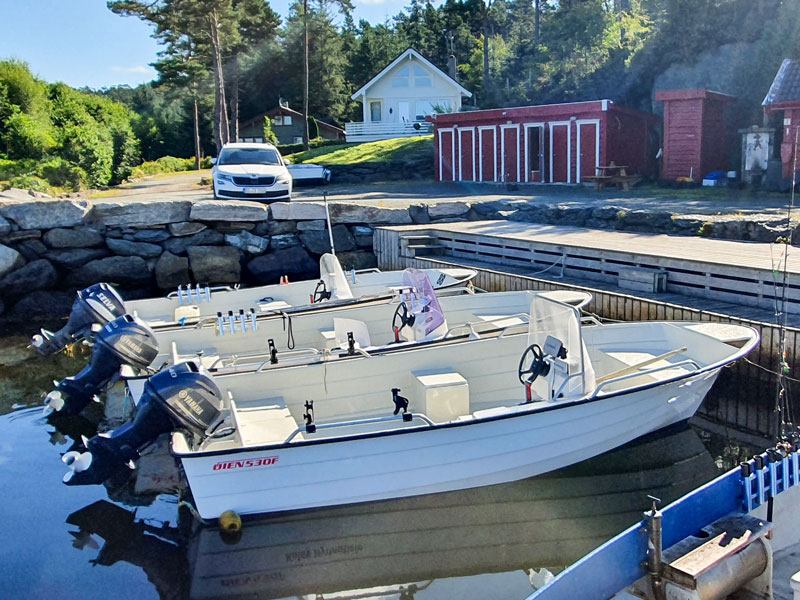 Angelreisen Norwegen 40911-40918 Halsnøy Boote 17,5 Fuß / 30-40 PS, 4-Takt, Echolot und Kartenplotter (Øien 530)