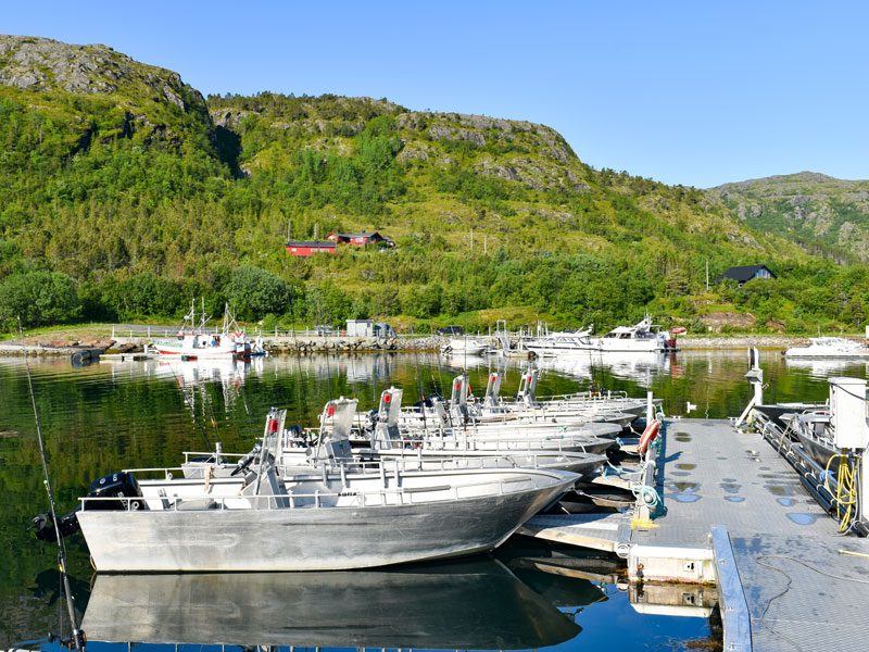 Angelreisen Norwegen 42891-42895 Vennesund Brygge Boote 18,5-20 Fuß / 60 PS, 4-Takt, Echolot, Kartenplotter