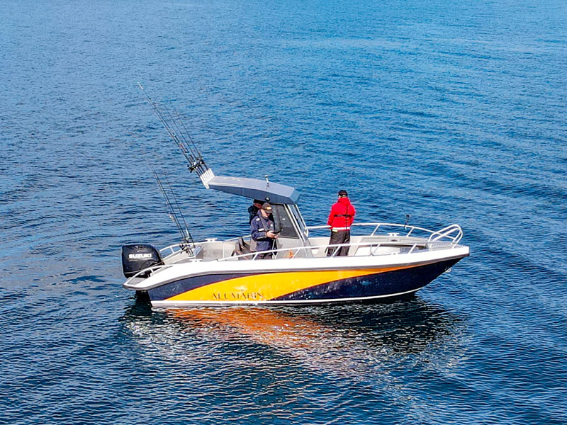 Angelreisen Norwegen 42731-42736 Leka Brygge Aluboot 22,5 Fuss, 140 PS, 4 Takt, Hard Top, Echolot und Kartenplotter