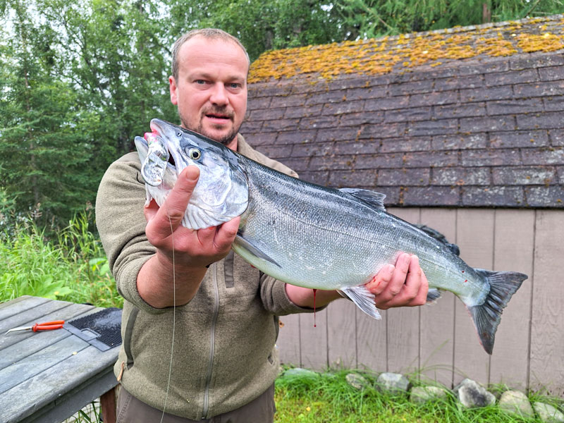 Angelreise Alaska Lachs