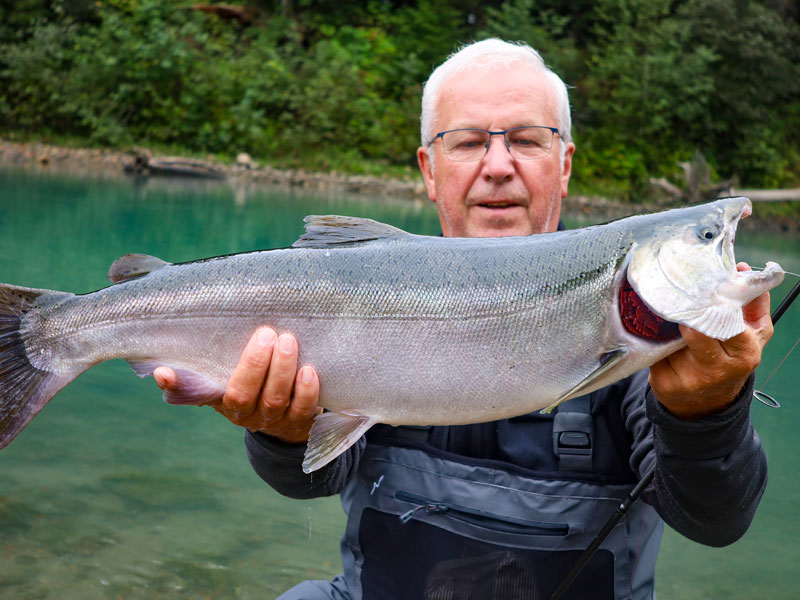 Angelreisen Kanada Kitimat toller Lachs
