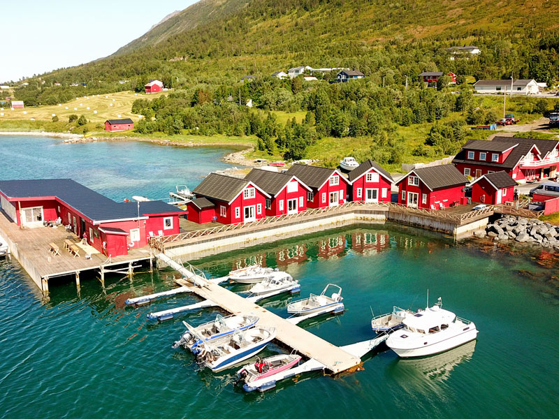 Blog 2026 Angeln in Nordnorwegen X-Lyngen